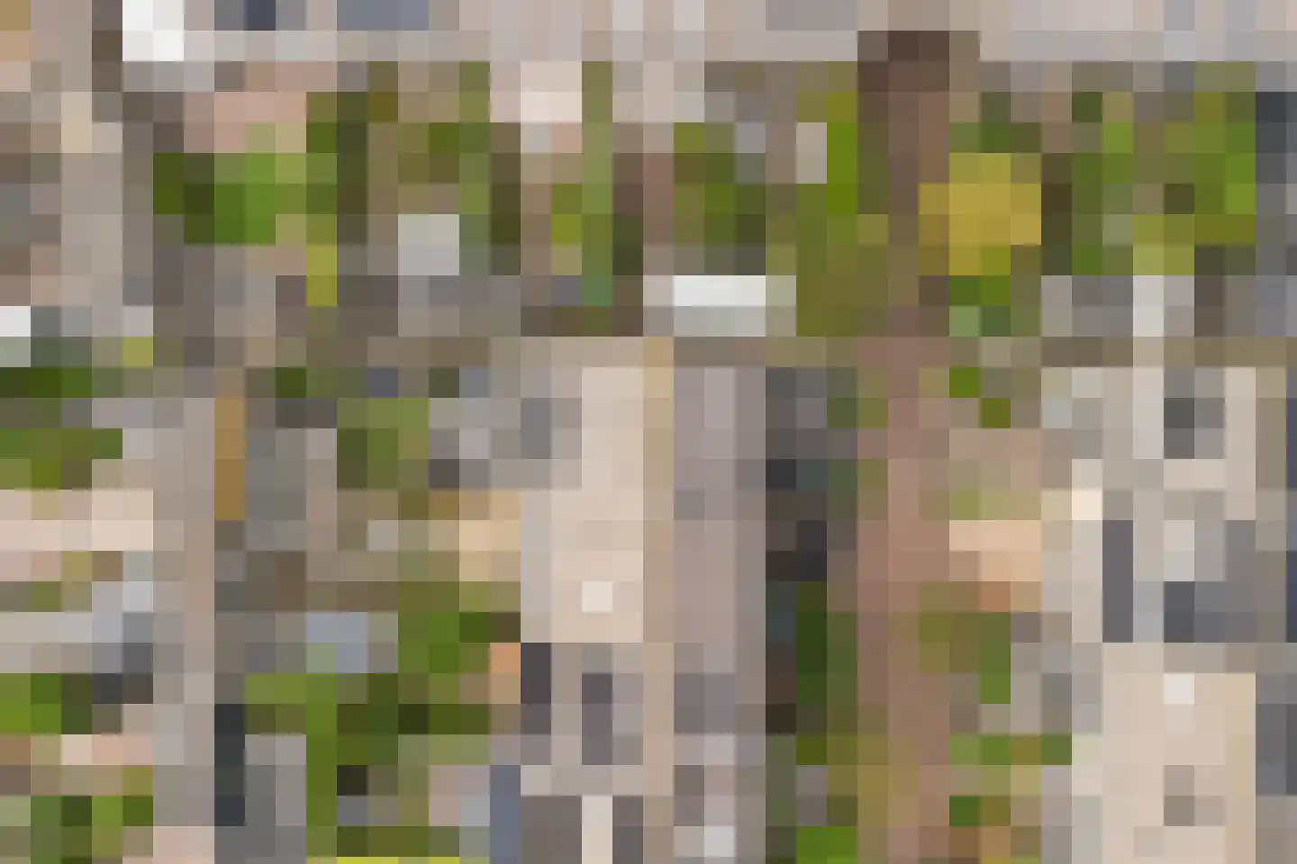 Ierlandstraat 2 Alphen aan den Rijn thumbnail 6