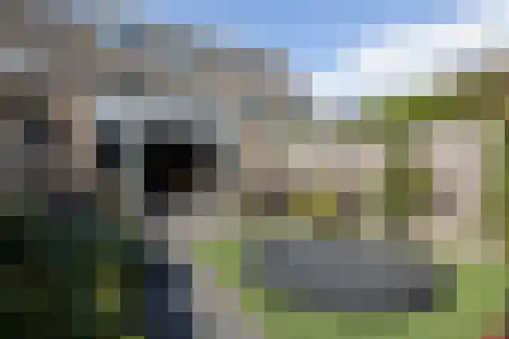 Ierlandstraat 3 Alphen aan den Rijn thumbnail 23