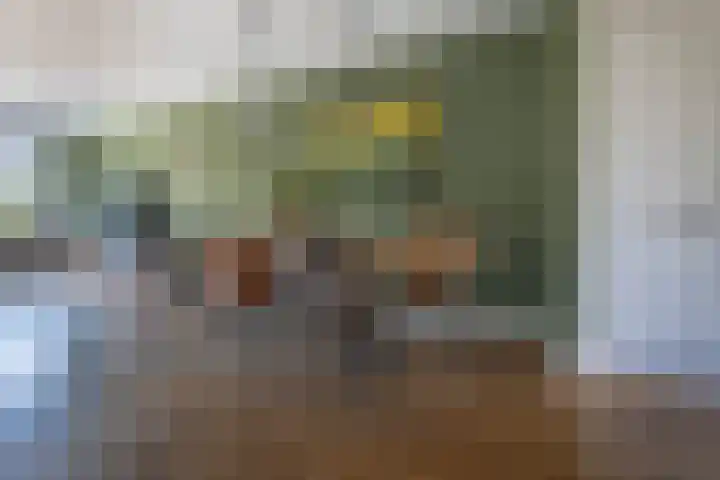 Ierlandstraat 3 Alphen aan den Rijn thumbnail 7