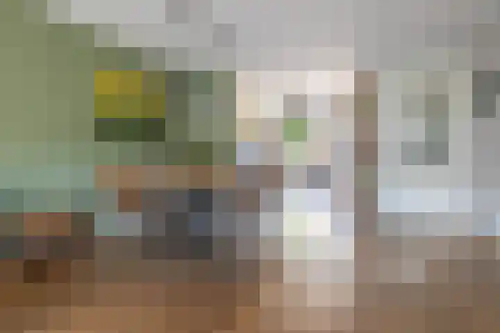Ierlandstraat 3 Alphen aan den Rijn thumbnail 8