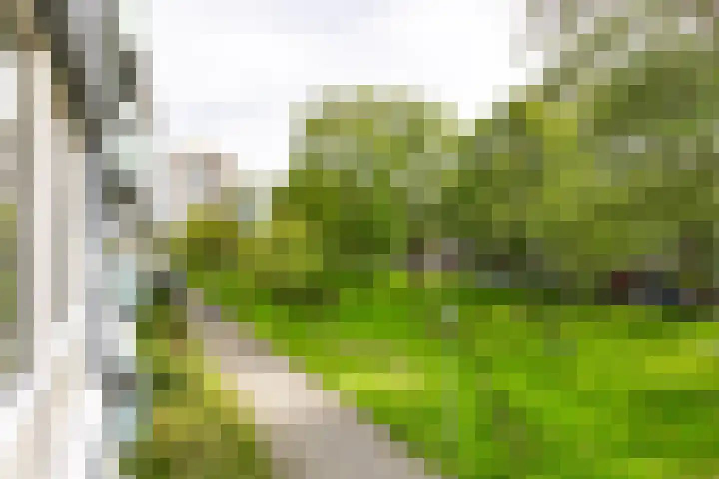 Ierlandstraat 32 Haarlem thumbnail 21
