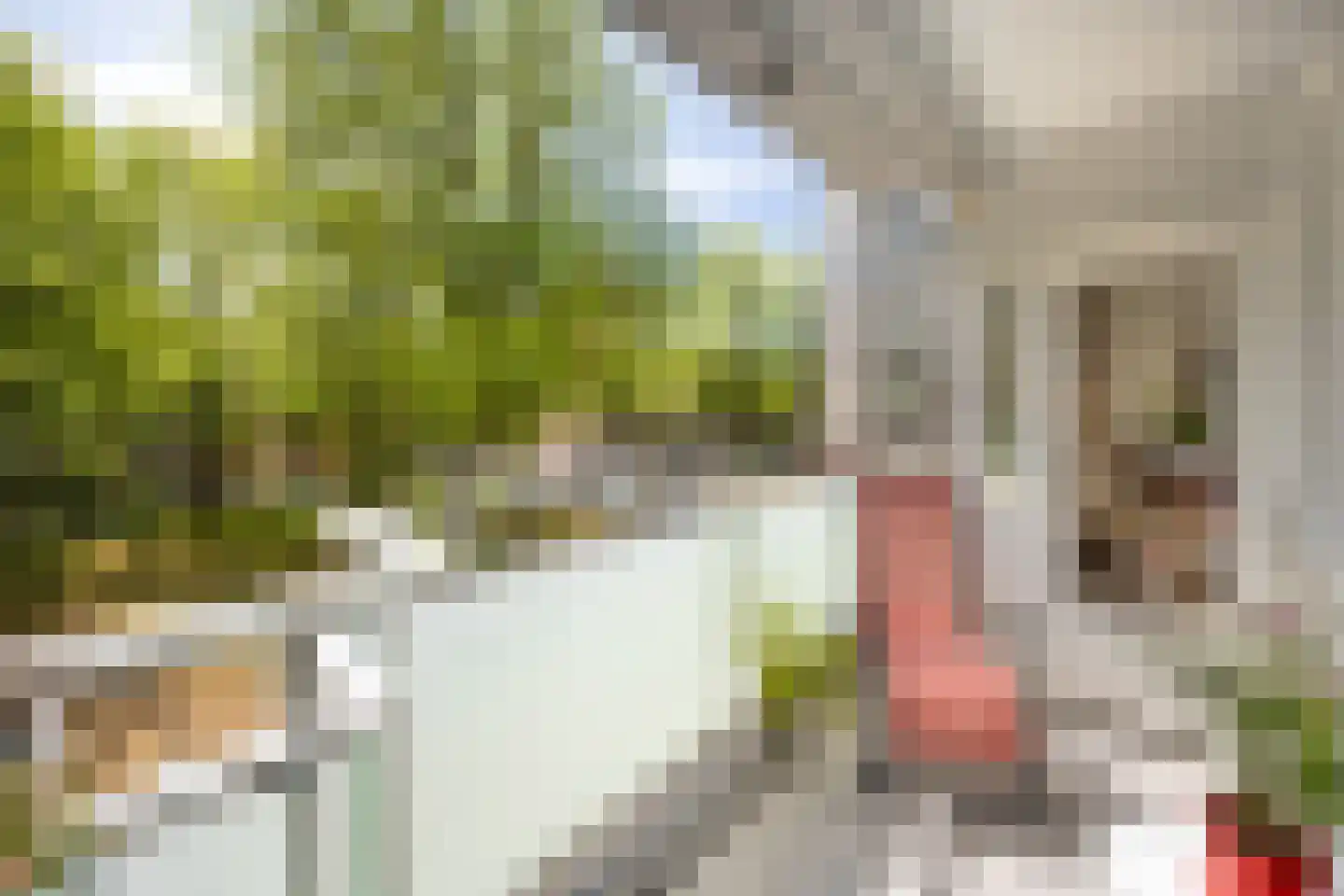 Ierlandstraat 34 Haarlem thumbnail 12
