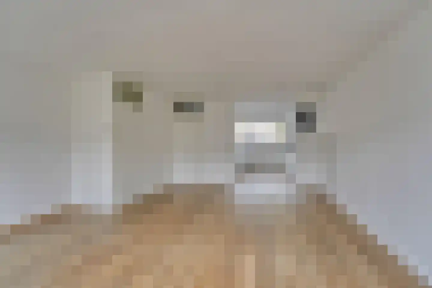 Ierlandstraat 4 Alphen aan den Rijn thumbnail 10