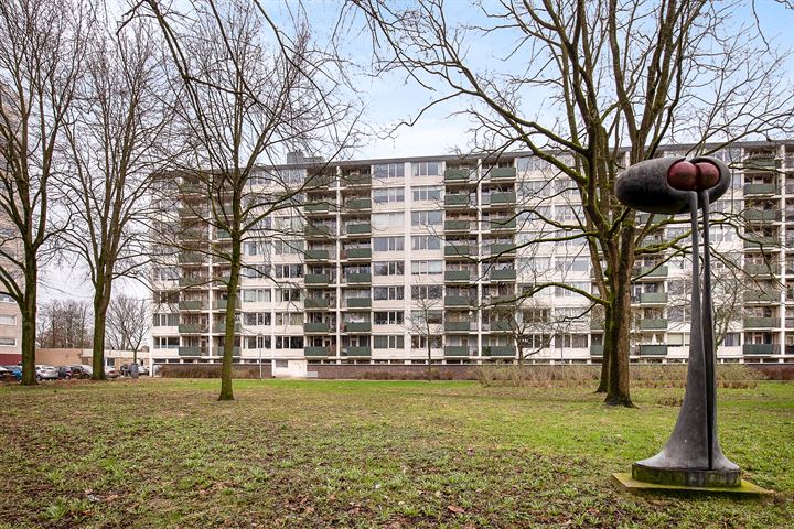 Ierlandstraat 62 in Haarlem photo