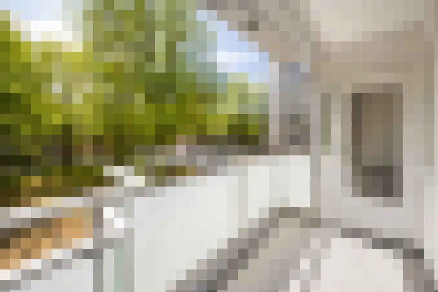 Ierlandstraat 74 Haarlem thumbnail 15