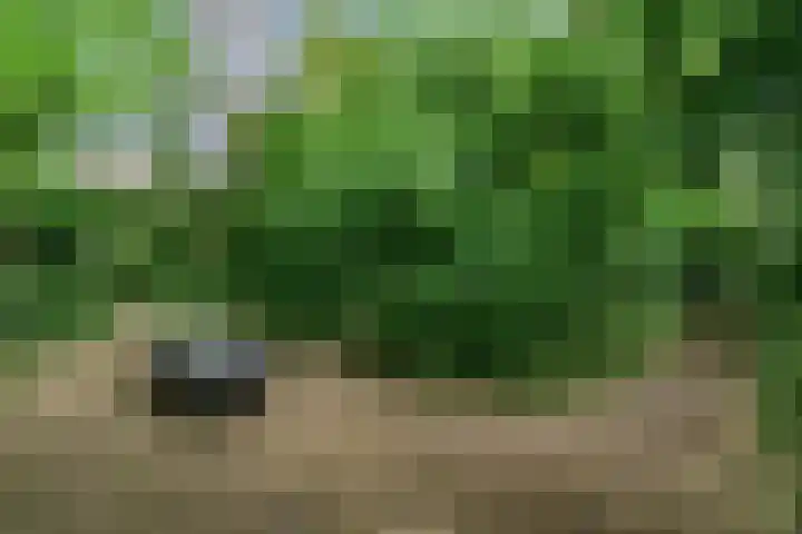 Ierlandweg 3 IJsselstein thumbnail 33