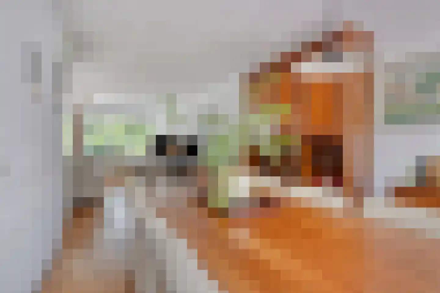 Iersezeestraat 10 Oost-Souburg thumbnail 12