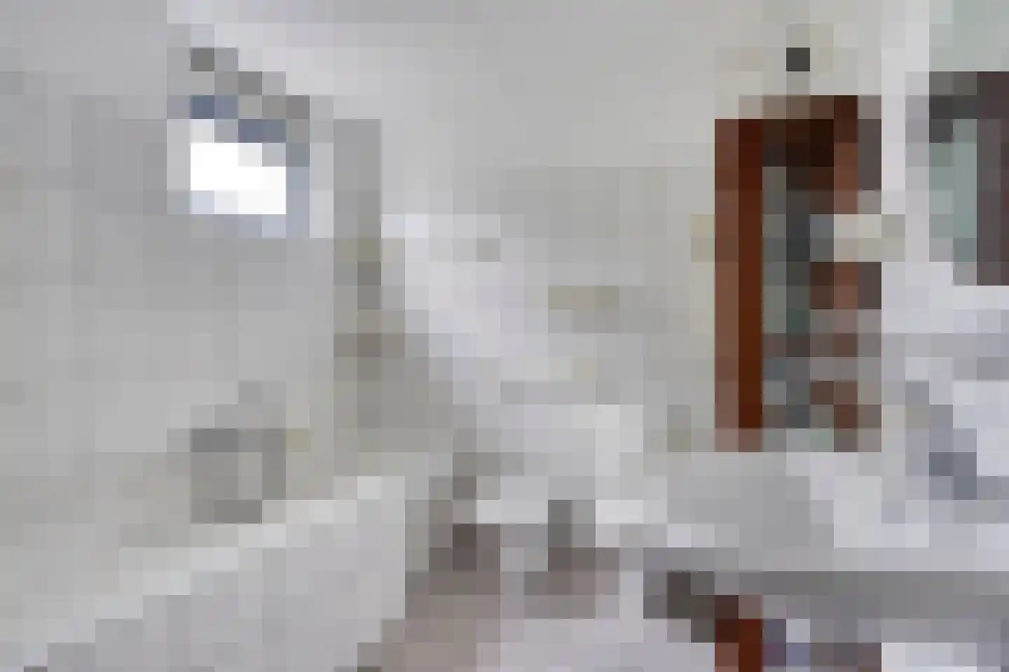 Iersezeestraat 10 Oost-Souburg thumbnail 17