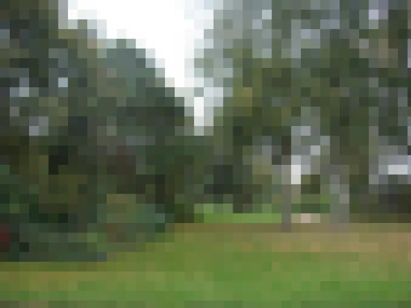 Iersezeestraat 10 Oost-Souburg thumbnail 35