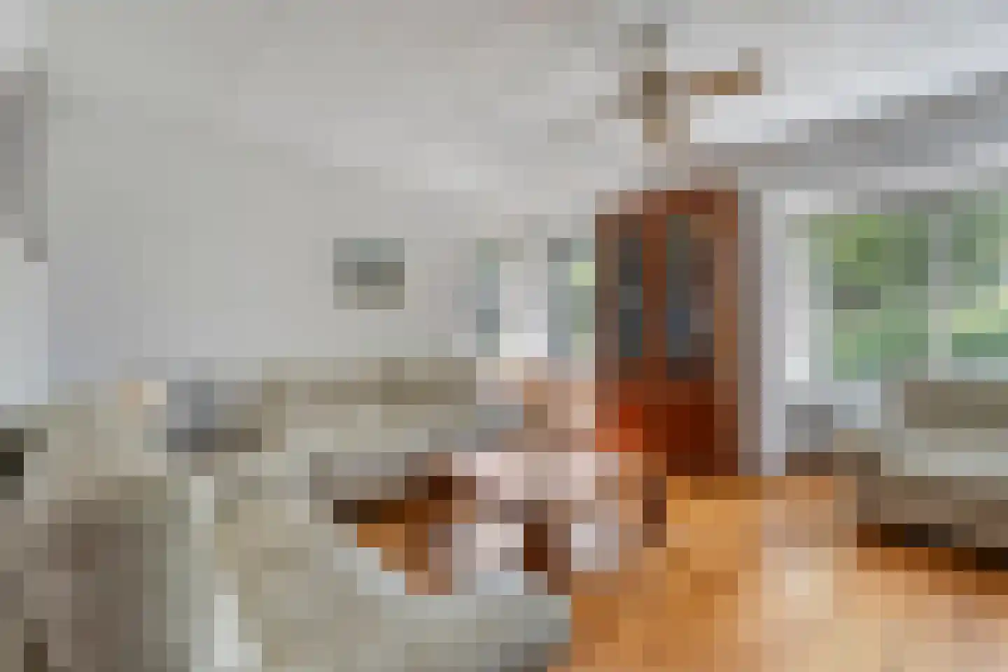 Iersezeestraat 10 Oost-Souburg thumbnail 8