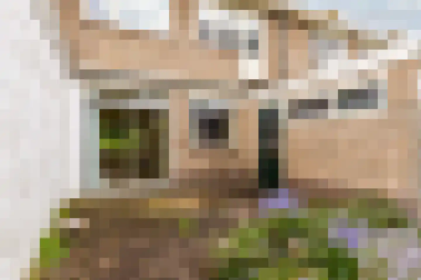 Ietje Kooistrastraat 29 Drachten thumbnail 40