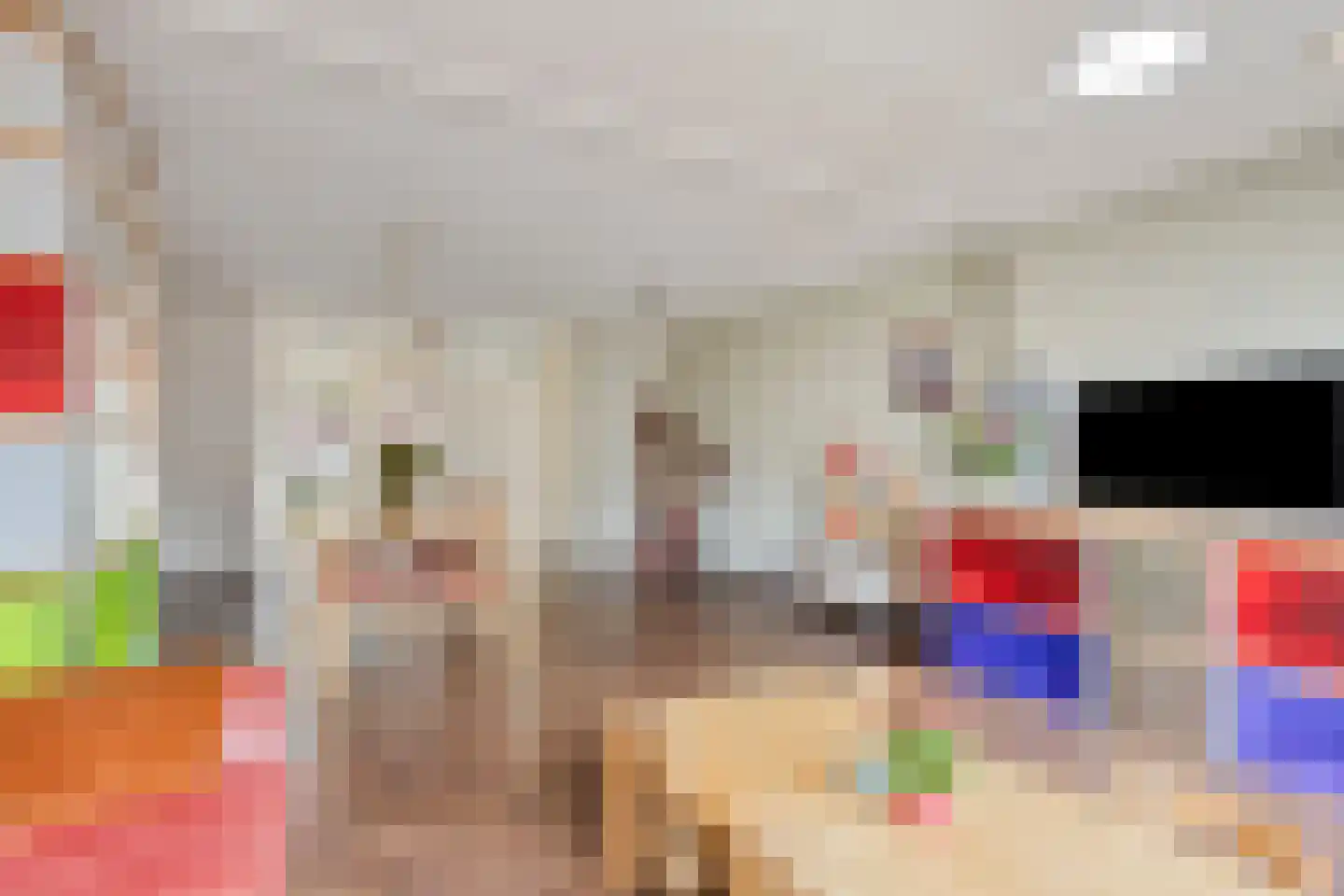 Ietje Kooistratuin 23 Heerhugowaard thumbnail 12
