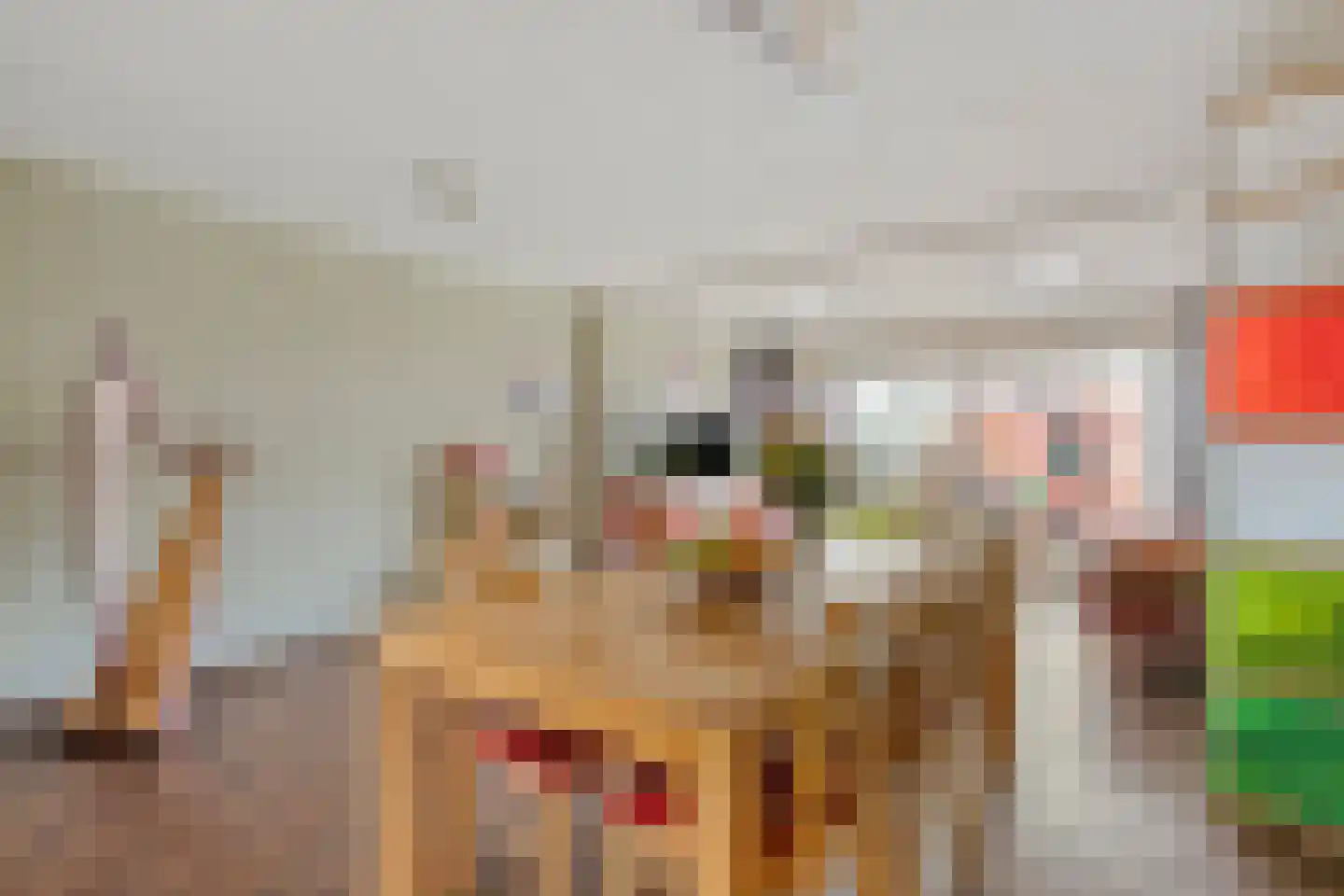 Ietje Kooistratuin 23 Heerhugowaard thumbnail 16