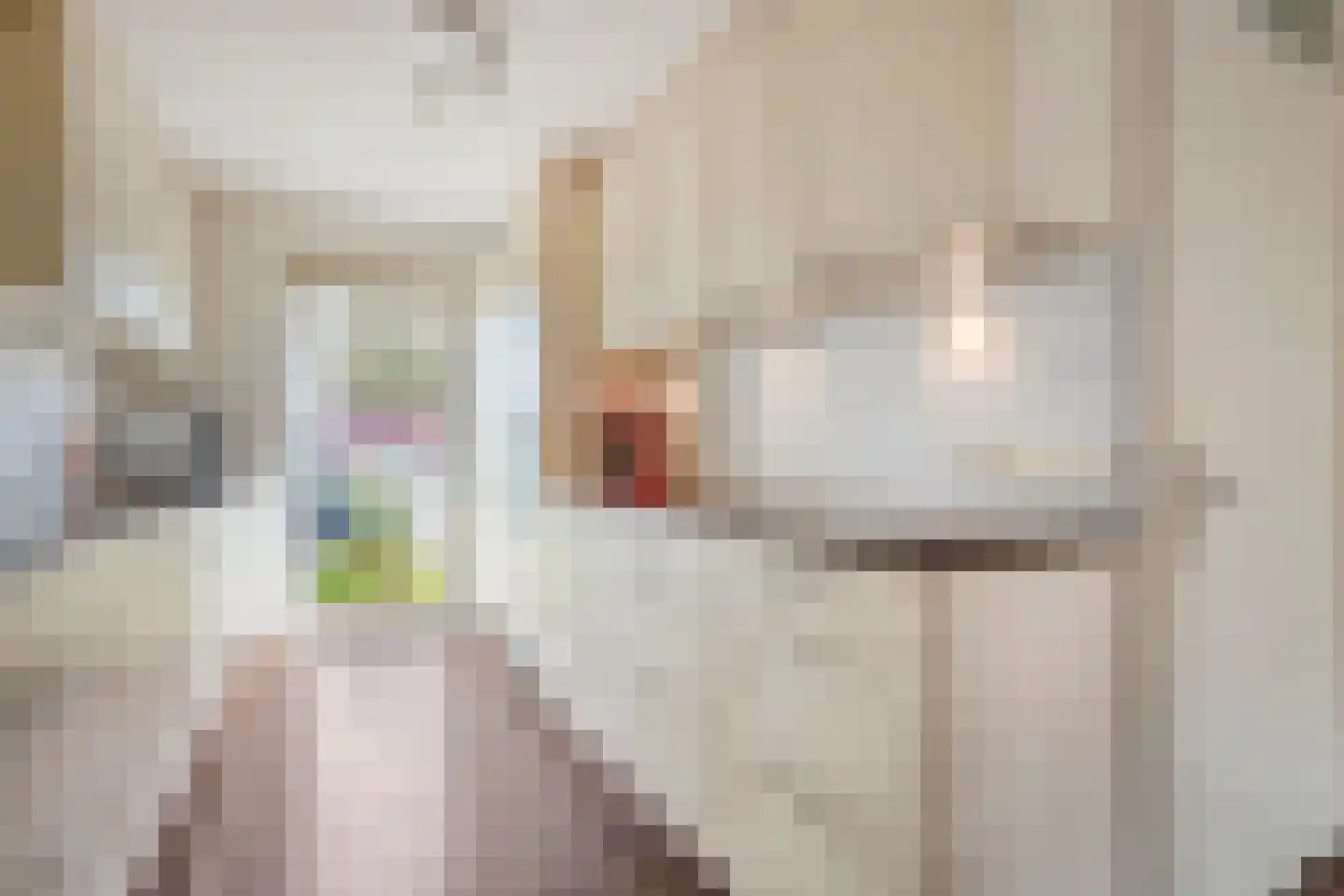 Ietje Kooistratuin 23 Heerhugowaard thumbnail 17