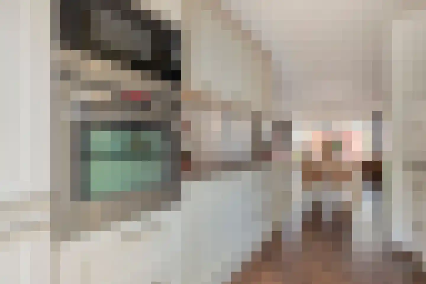 Ietje Kooistratuin 23 Heerhugowaard thumbnail 18