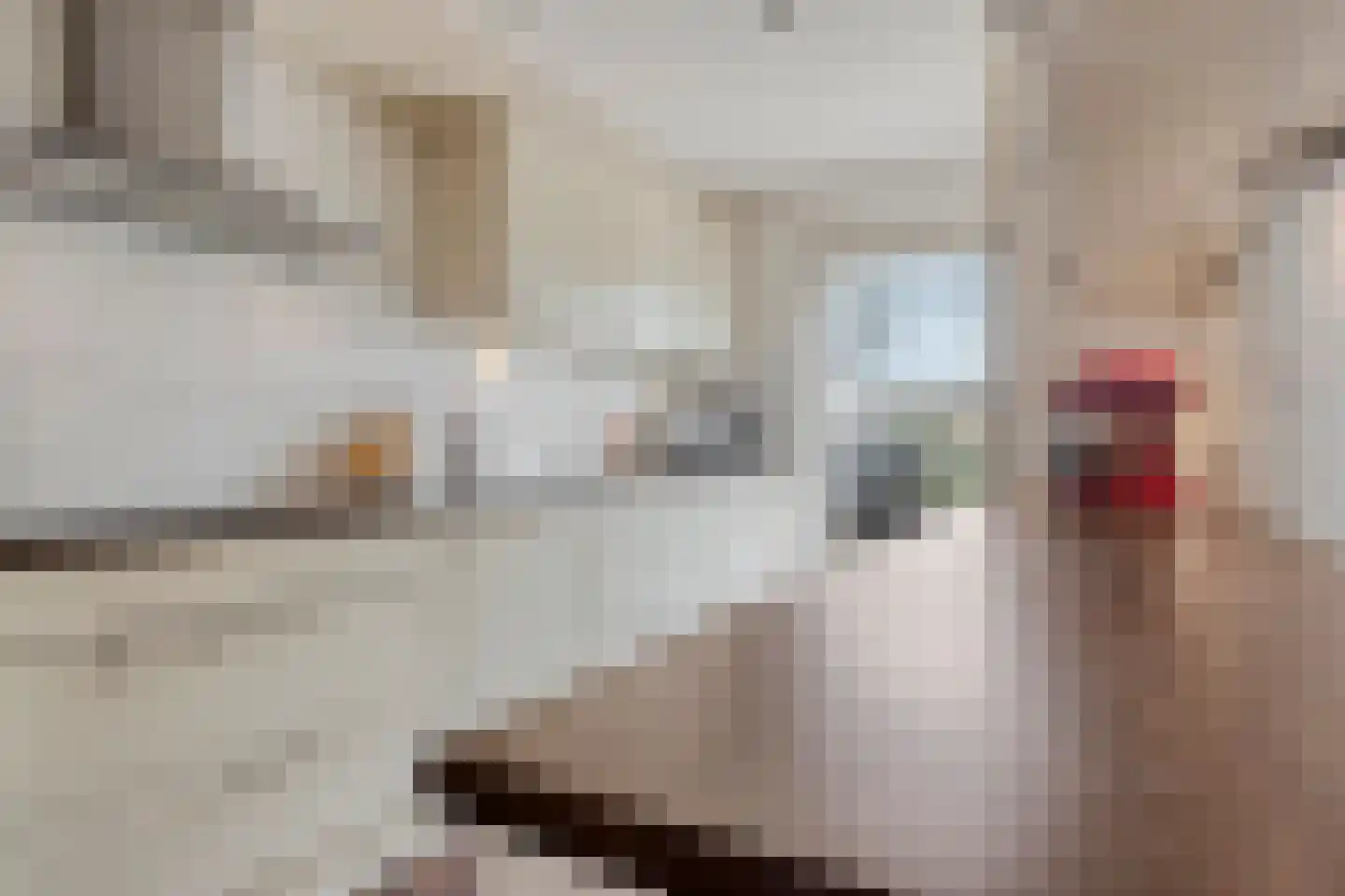 Ietje Kooistratuin 23 Heerhugowaard thumbnail 19