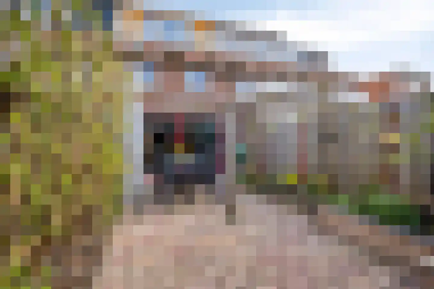 Ietje Kooistratuin 23 Heerhugowaard thumbnail 37