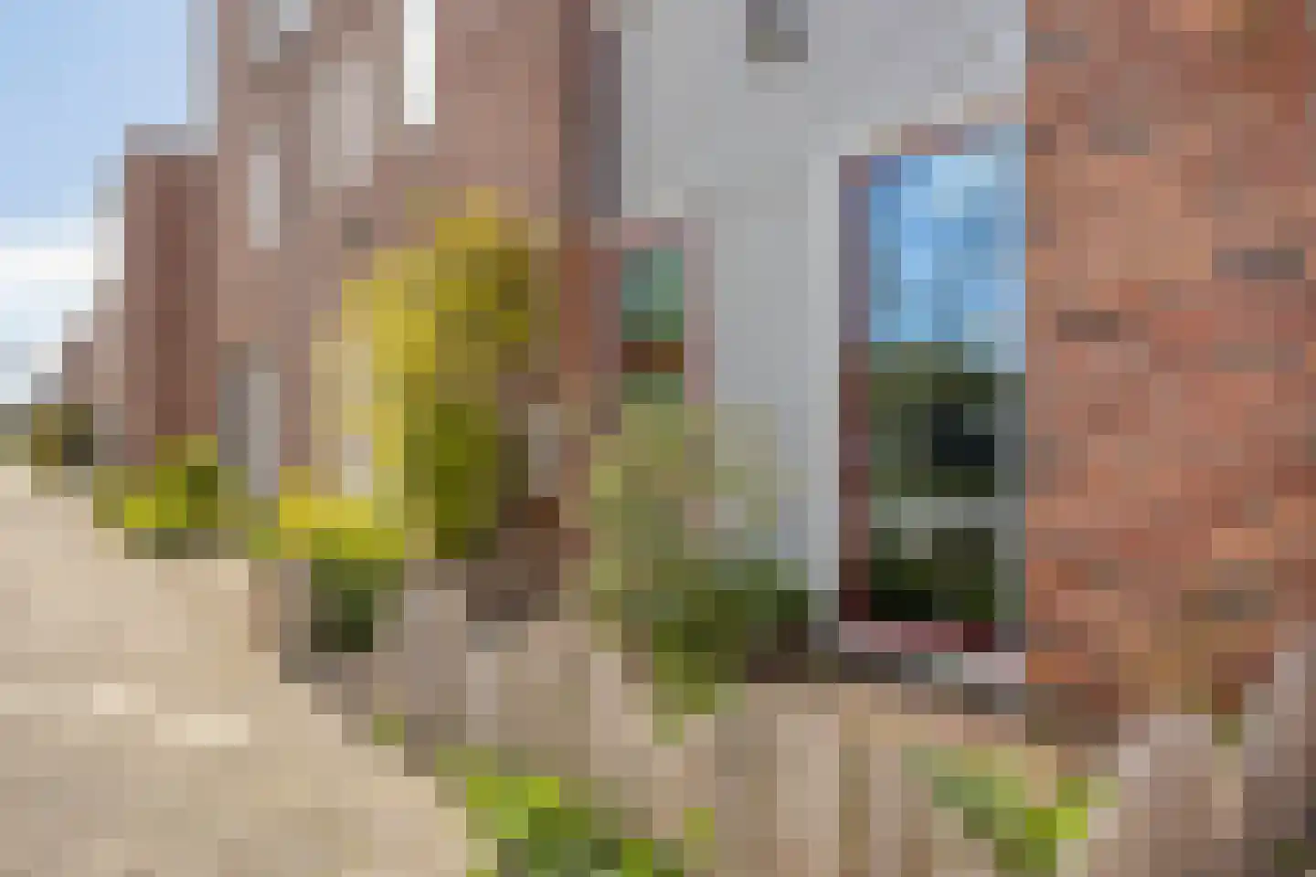 Ietje Kooistratuin 23 Heerhugowaard thumbnail 7