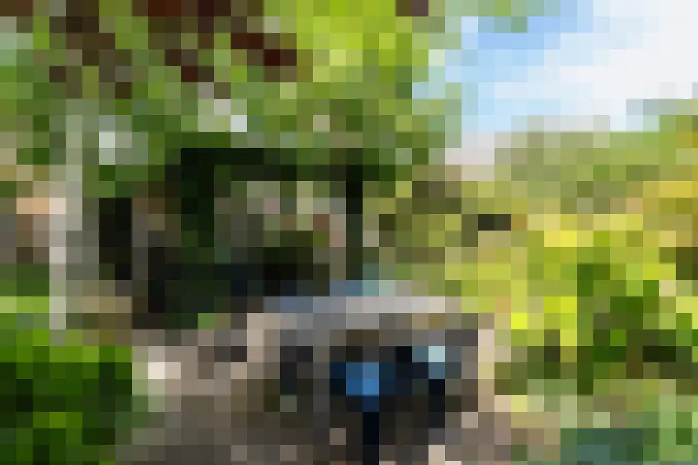 Ietje Kooistraweg 6 Apeldoorn thumbnail 22