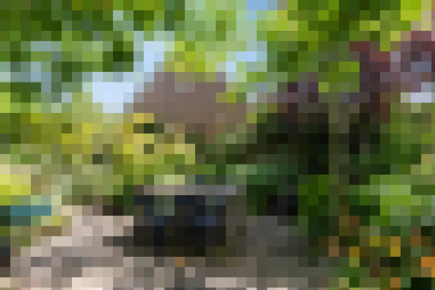 Ietje Kooistraweg 6 Apeldoorn thumbnail 23