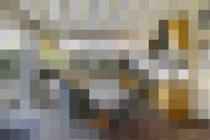 Iewâl 10 Woudsend thumbnail 13