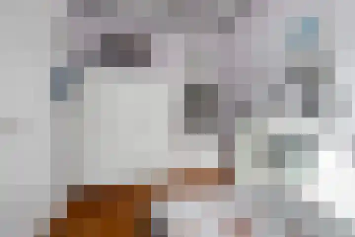 Iewâl 10 Woudsend thumbnail 14