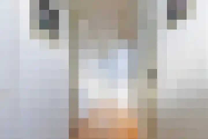 Iewâl 10 Woudsend thumbnail 18