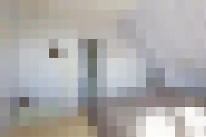 Iewâl 10 Woudsend thumbnail 25