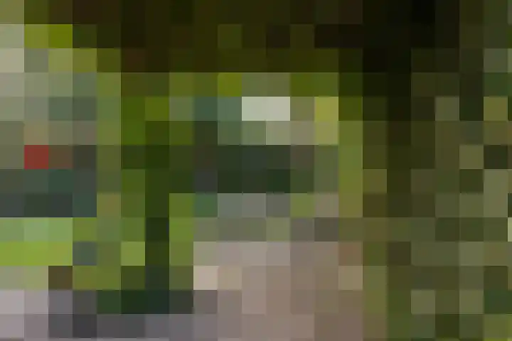 Iewâl 10 Woudsend thumbnail 27