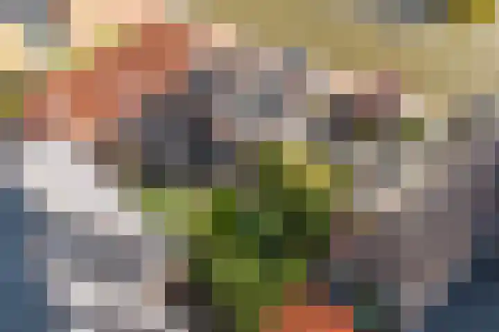 Iewâl 10 Woudsend thumbnail 38
