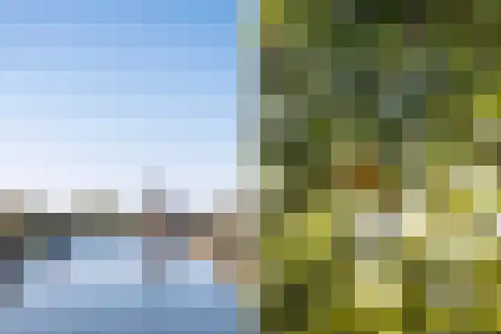 Iewâl 10 Woudsend thumbnail 39