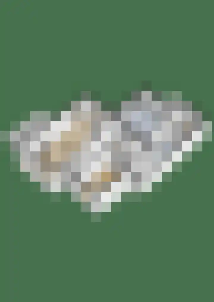 Iewâl 10 Woudsend thumbnail 44