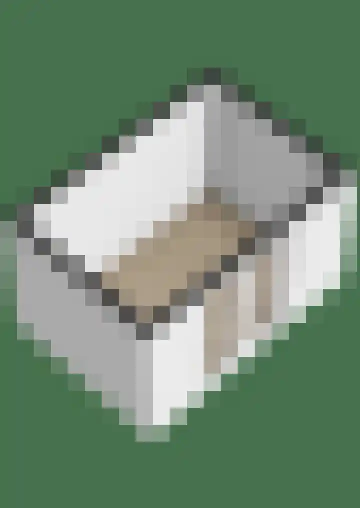 Iewâl 10 Woudsend thumbnail 47