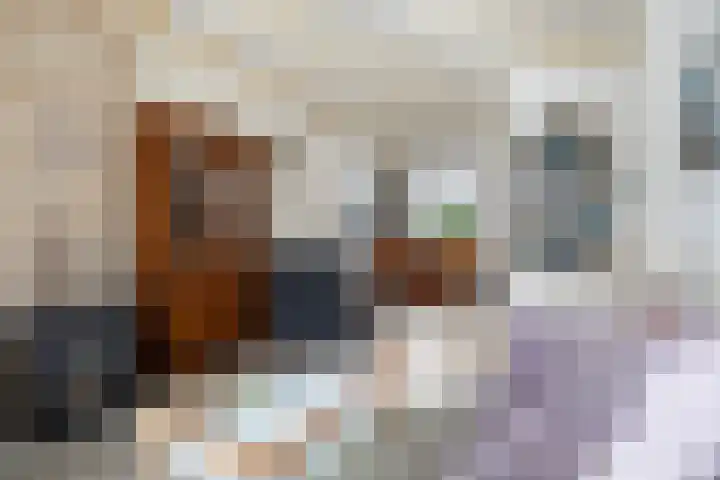 Iewâl 10 Woudsend thumbnail 8