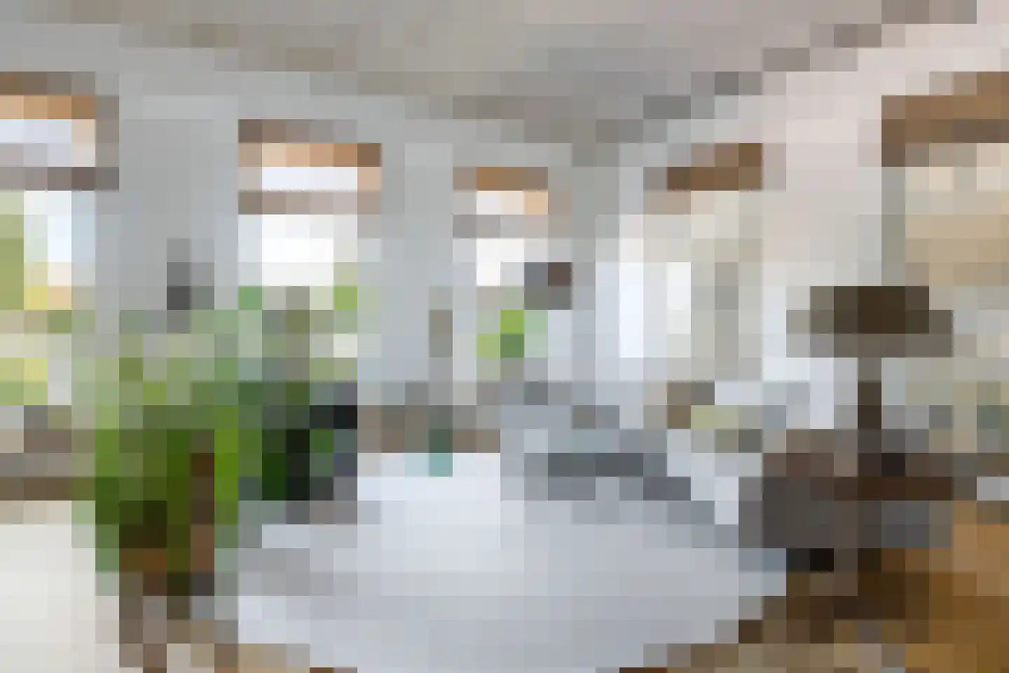 Iewâl 18 Woudsend thumbnail 10