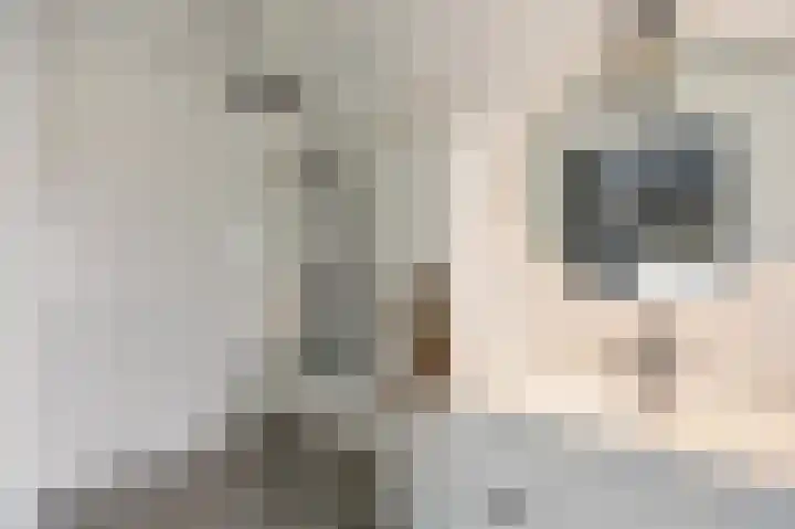 Iewâl 18 Woudsend thumbnail 22