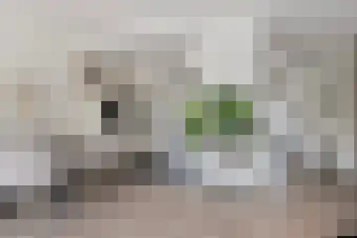 Iewâl 18 Woudsend thumbnail 37