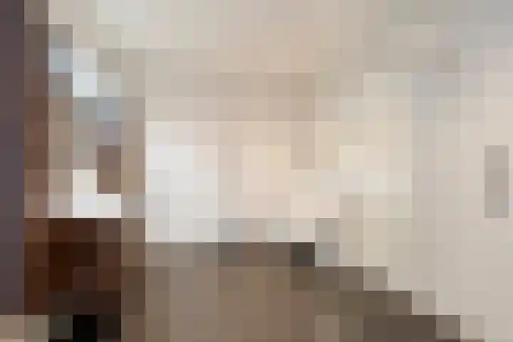 Iewâl 18 Woudsend thumbnail 49