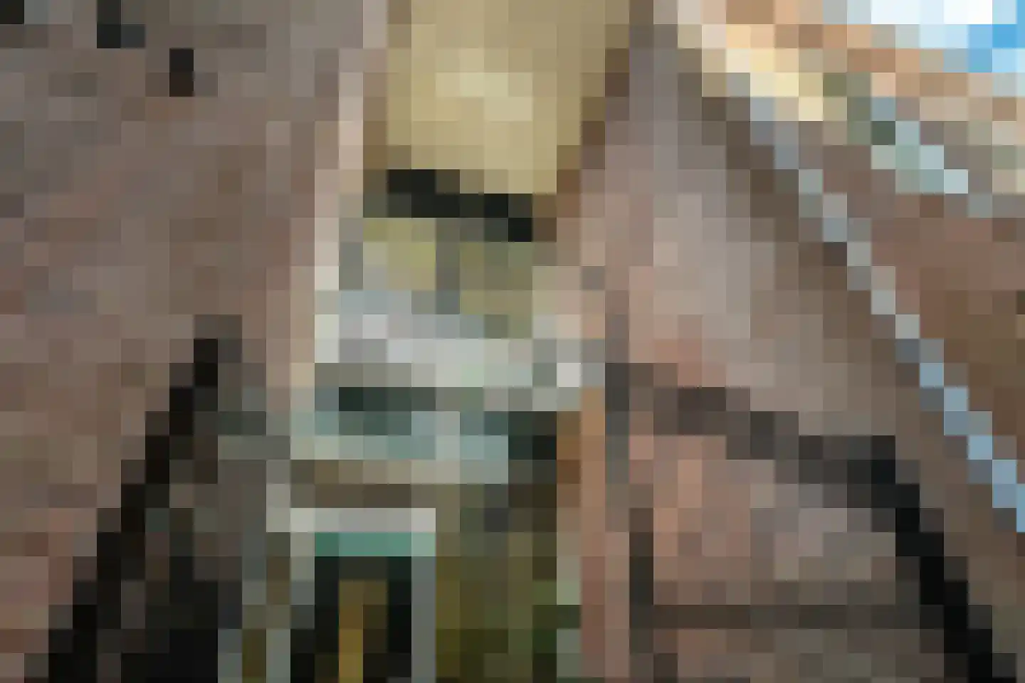 Iewâl 18 Woudsend thumbnail 50