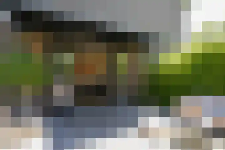 Iewâl 18 Woudsend thumbnail 55