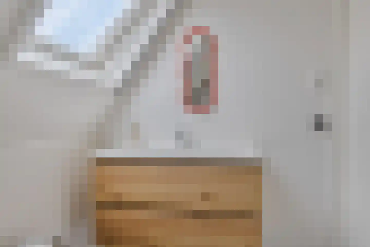 Iewâl 28 Woudsend thumbnail 21