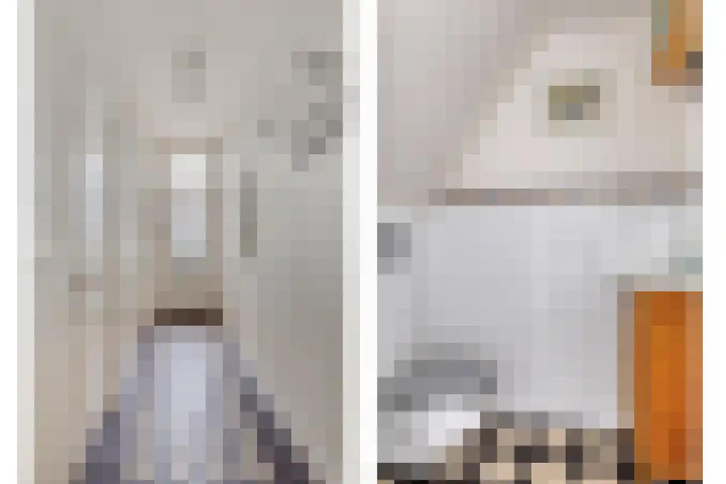 Iewâl 28 Woudsend thumbnail 5