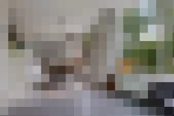 Ifftemalaan 13 Leek thumbnail 11