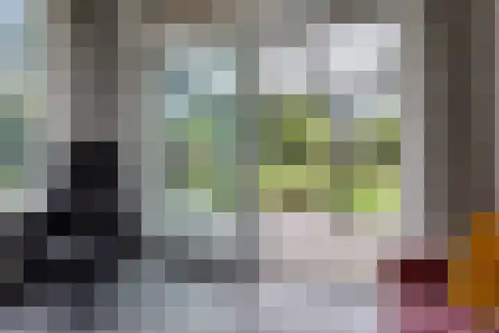 Ifftemalaan 13 Leek thumbnail 13