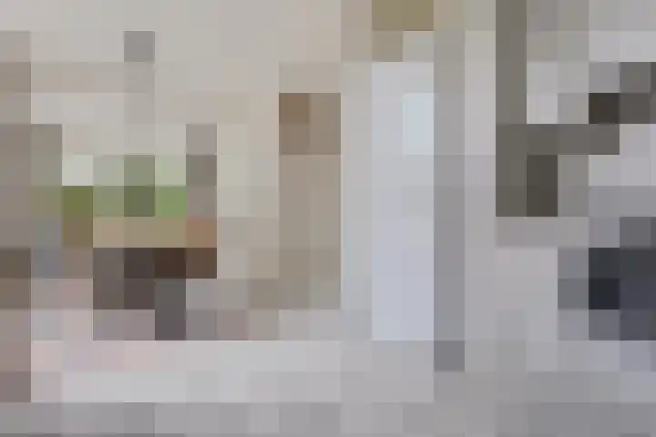 Ifftemalaan 13 Leek thumbnail 15