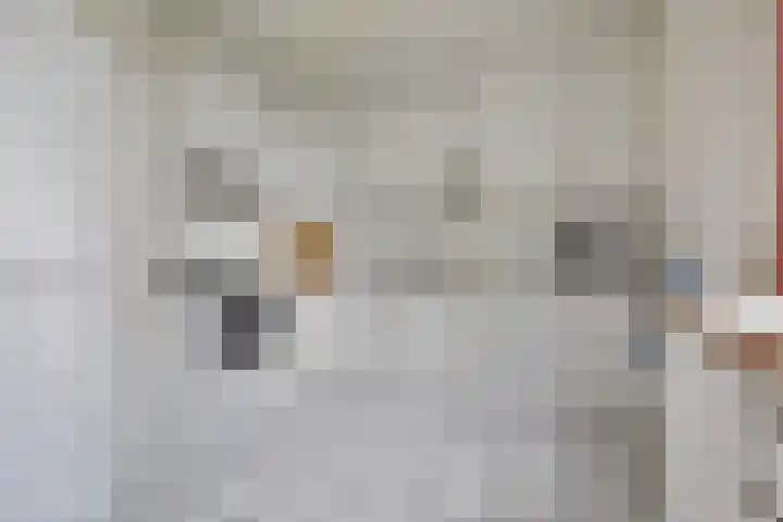 Ifftemalaan 13 Leek thumbnail 16