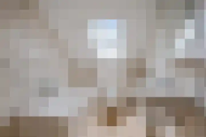 Ifftemalaan 13 Leek thumbnail 23