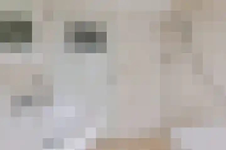 Ifftemalaan 13 Leek thumbnail 24