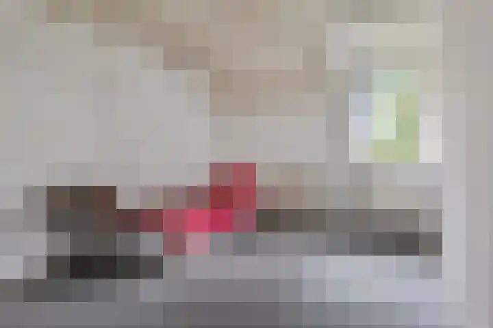 Ifftemalaan 13 Leek thumbnail 25