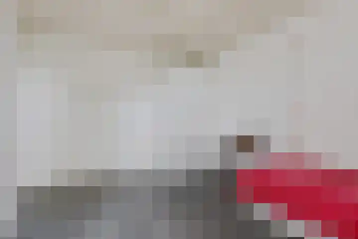 Ifftemalaan 13 Leek thumbnail 26